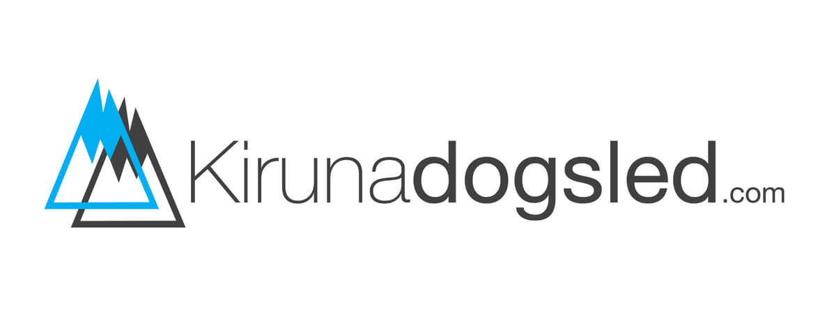 Dogsled Tours in Kiruna | Experience unforgettable Moments